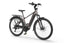2026 ECOBIKE MX300 GOLDEN GREY 36V 900 Wh