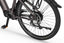 2026 ECOBIKE MX300 GOLDEN GREY 36V 900 Wh