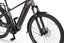 2026 ECOBIKE MX300 GOLDEN GREY 36V 900 Wh