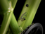 TREK Wahoo 20 Trail Power Surge