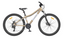 2026 PRO 26 GOLD
