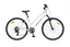 2026 LADY SPORT 26