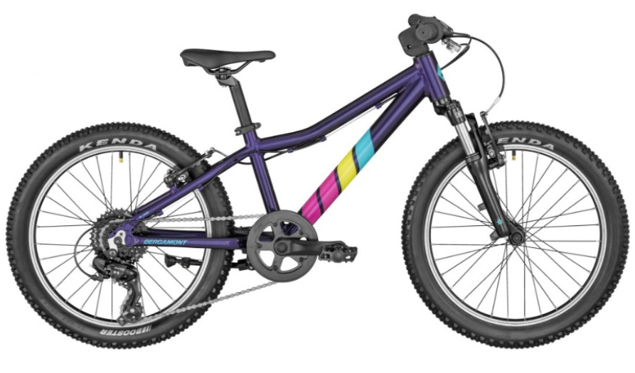 2024 BERGAMONSTER 20 PURPLE