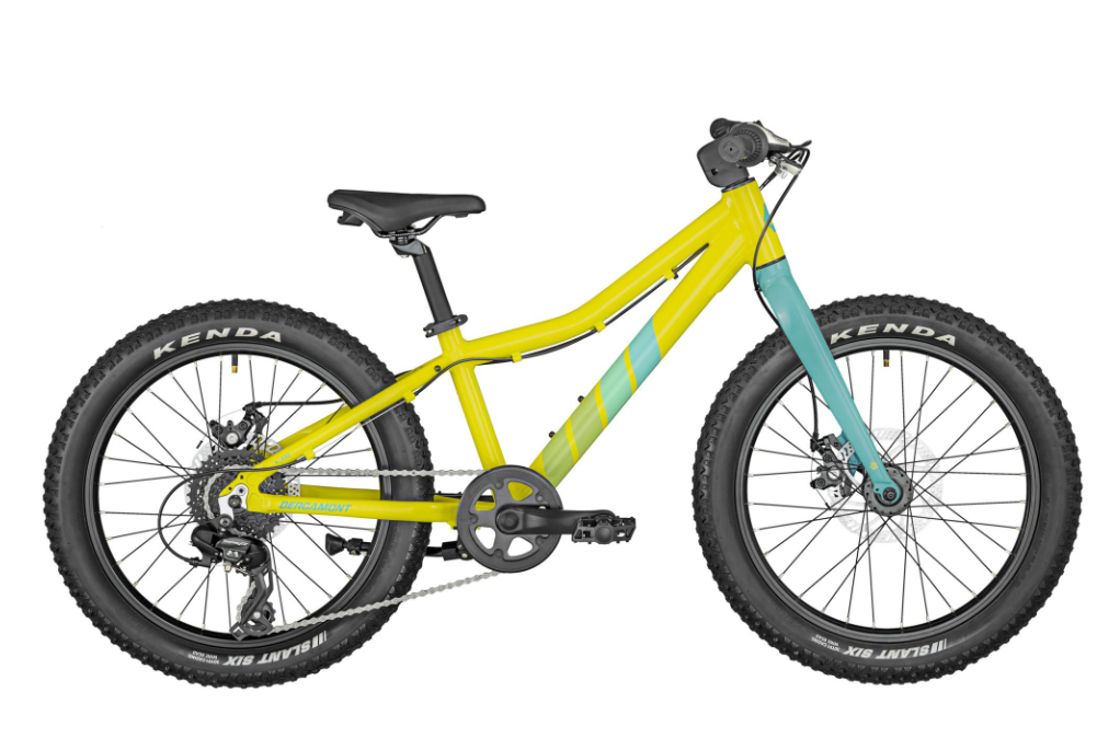 2024 BERGAMONSTER 20 PLUS YELLOW