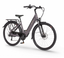 2026 ECOBIKE X-CITY COFFEE 36V 504 Wh