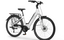 2026 ECOBIKE LX100 WHITE 36V 504 Wh