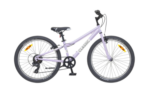 2026 STAR 24