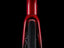 TREK Domane AL 2 Gen 4 Crimson to Dark Carmine Fade